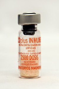 gumboro LZD Plus