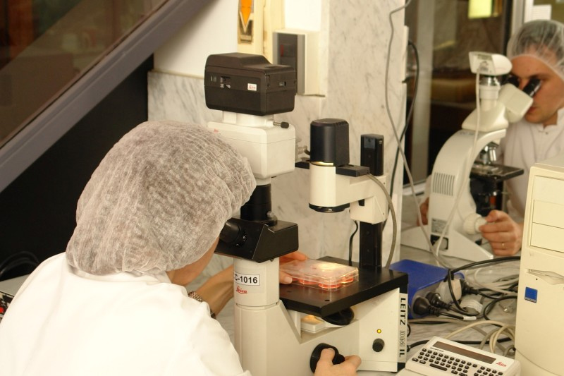 Laboratorios Inmuner y Granjas Tres Arroyos trabajan en vacuna contra hepatitis aviar