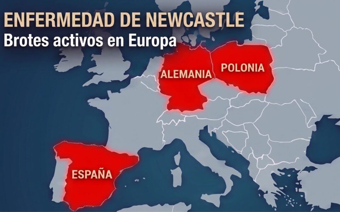 ENFERMEDAD DE NEWCASTLE