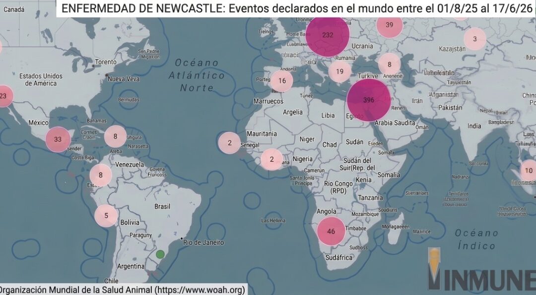 Enfermedad de Newcastle – Informe Junio 2026